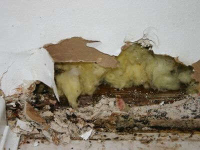 Professional water damage restoration services in Centennial